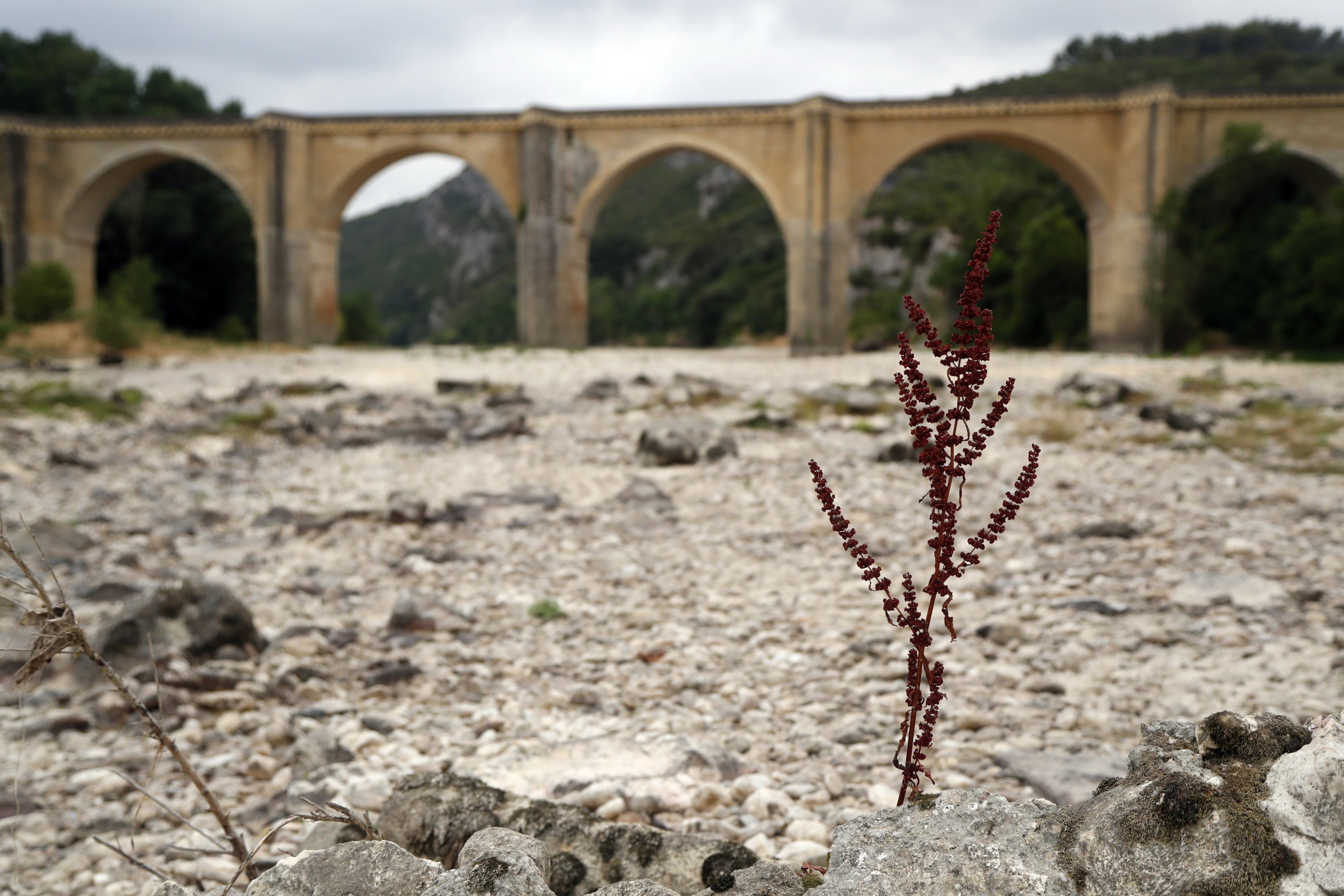 A general view of the dried Gardon river by the Saint Nicolas bridge during a hot summer day, in Collias (Gard), near Uzes, France, June 21, 2022. (EPA photo)