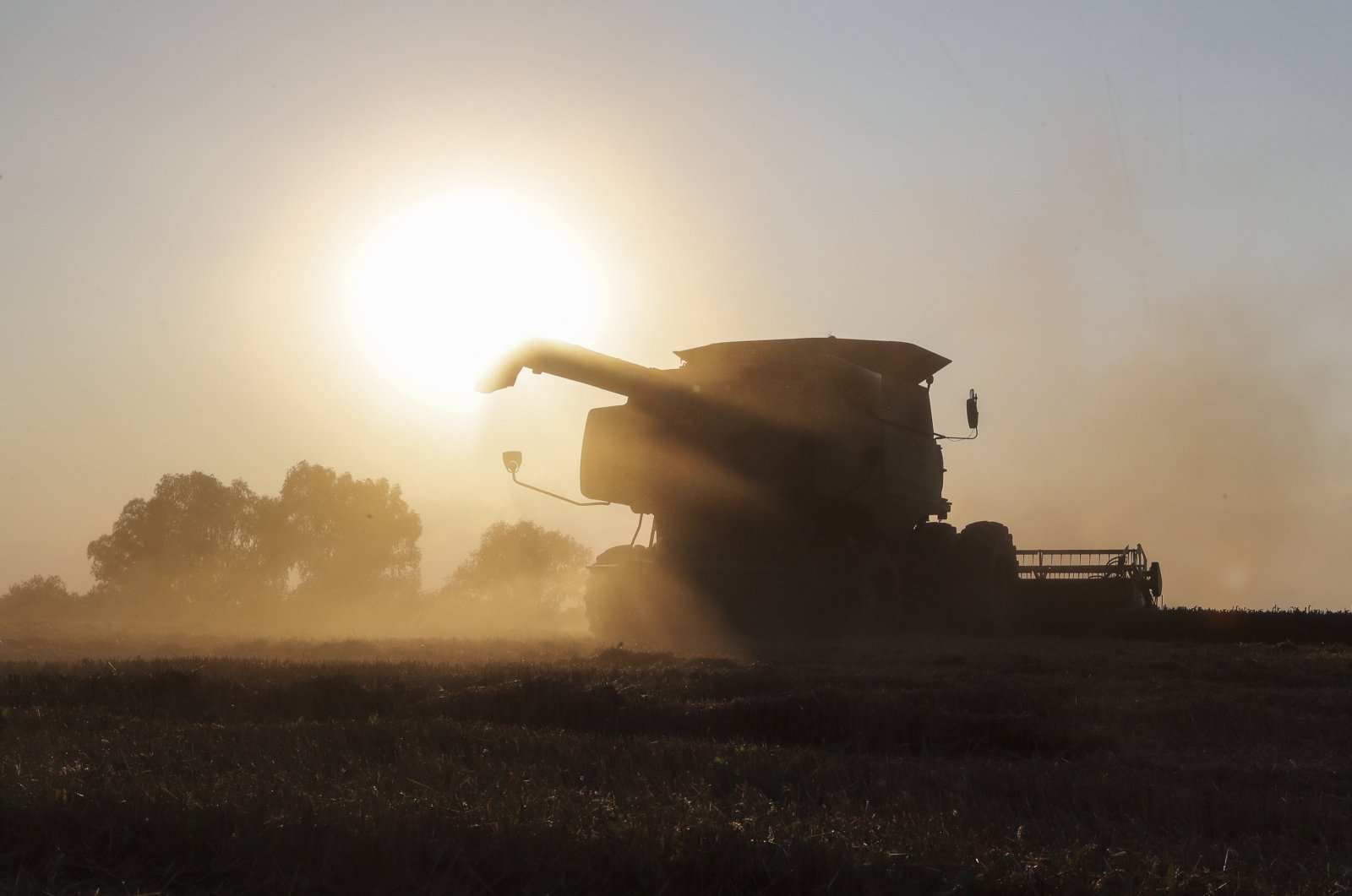A combine harvester works in a field near Kyiv, Ukraine, Aug. 4, 2023. (EPA Photo)